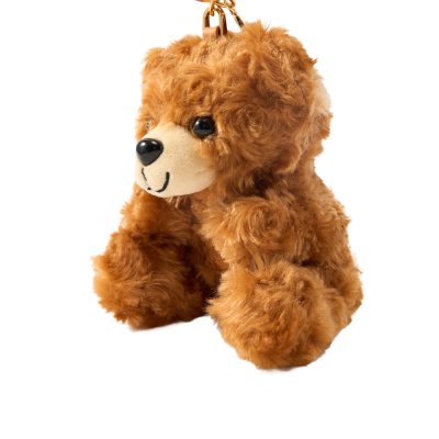 THE TEDDY BEAR CHARM